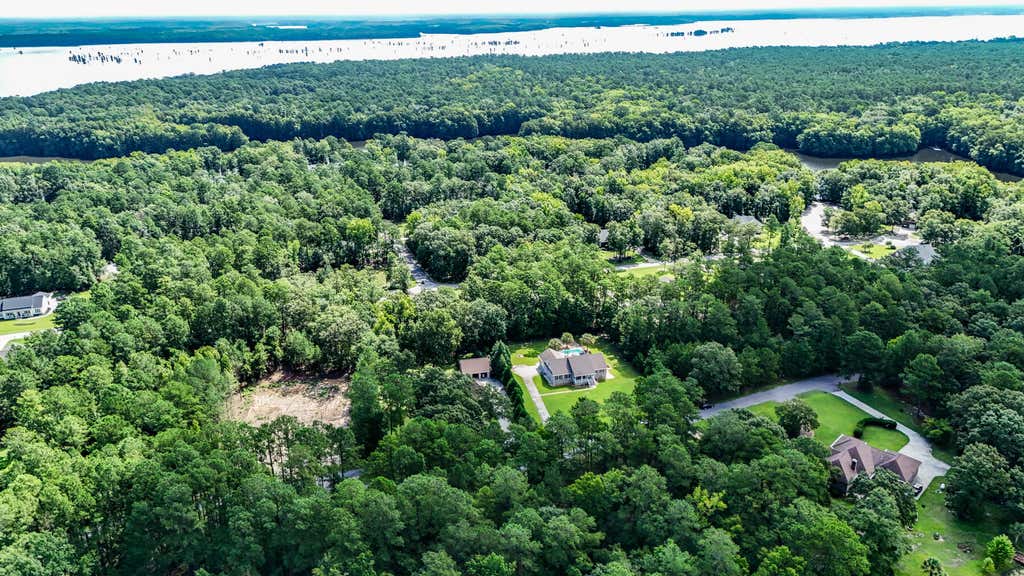 Photo of 151 Poplar Creek Drive, Elloree, SC 29047 (MLS # 26022383)