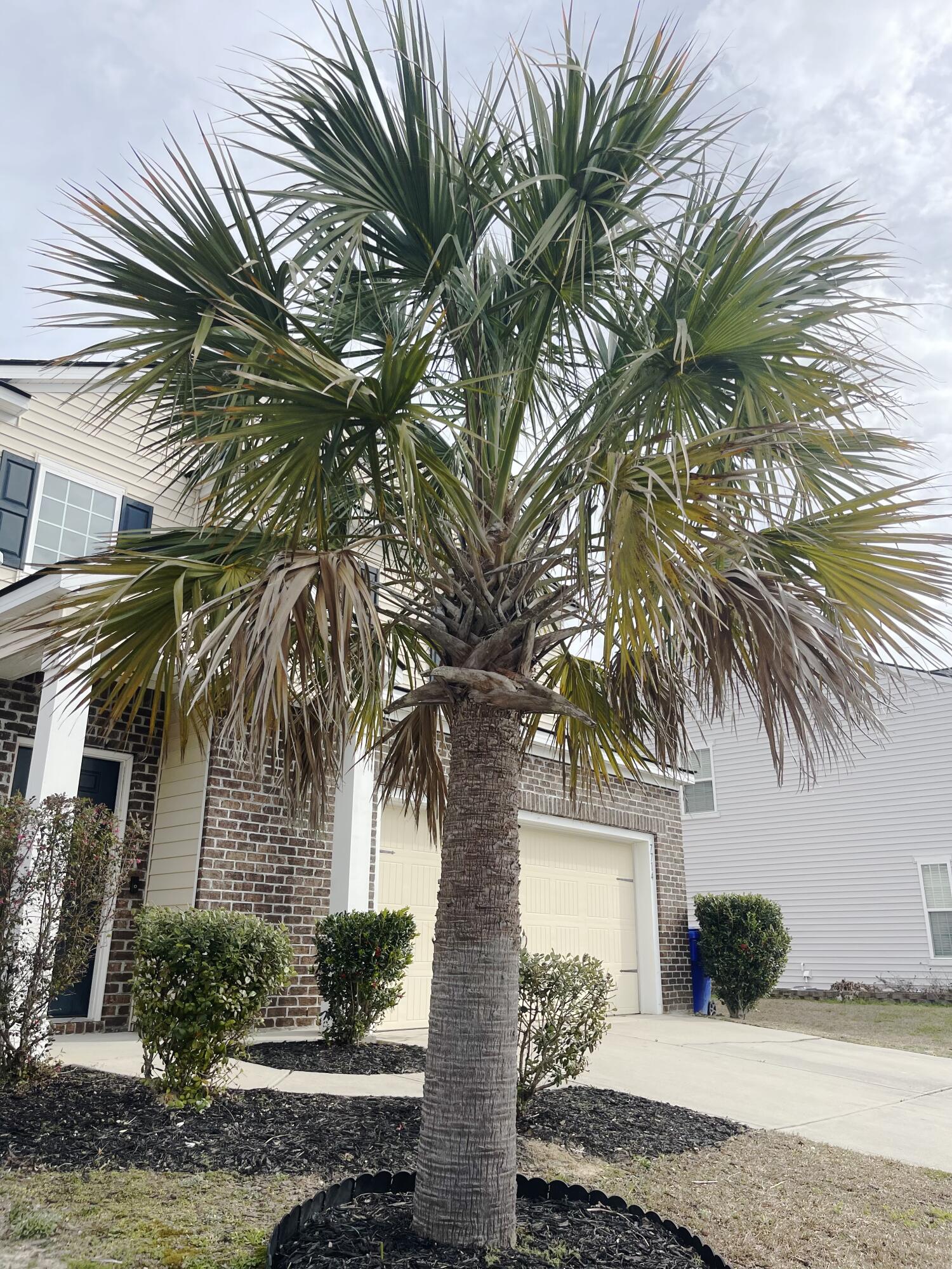 7714 High Maple Circle