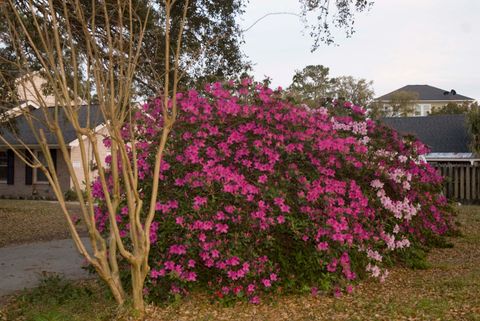 A home in Charleston