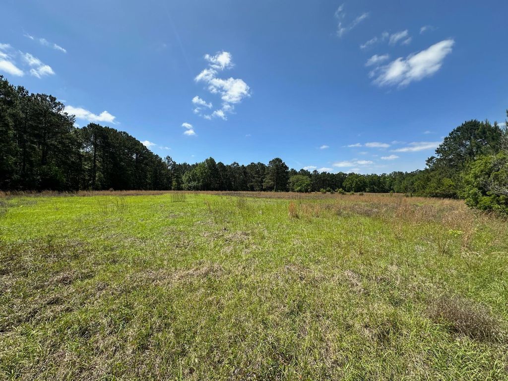 Photo of 0 Willtown Road, Hollywood, SC 29449 (MLS # 25012053)