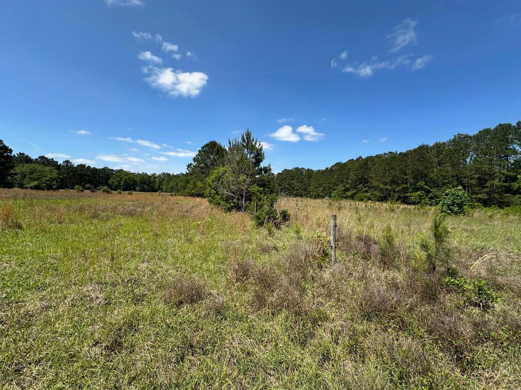 Photo of 0 Willtown Road, Hollywood, SC 29449 (MLS # 25012053)