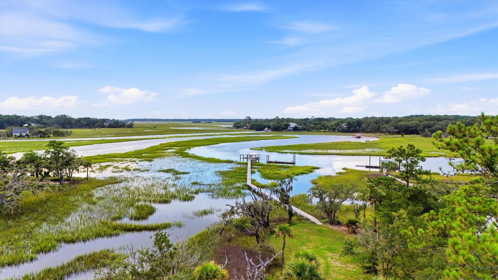 Photo of 1102 Down Under Lane, Edisto Island, SC 29438 (MLS # 26022852)