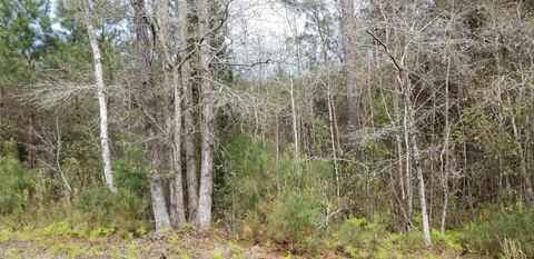 0 Randolph Drive Smoaks SC 29481