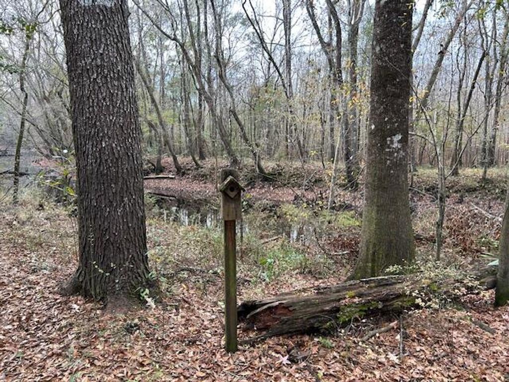 Photo of 0 Parkers Ferry Rd Road, Ravenel, SC 29470 (MLS # 25032091)