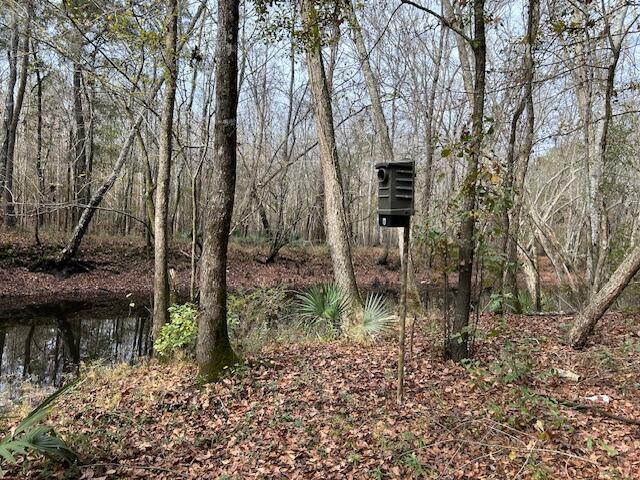 0 Parkers Ferry Rd Road