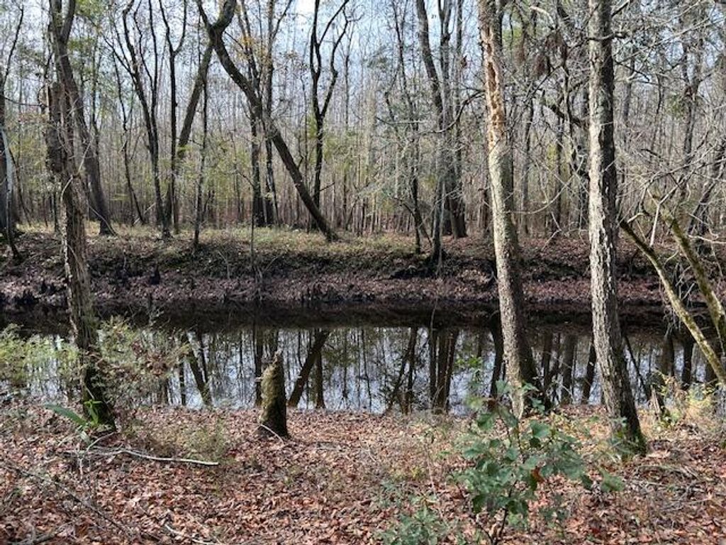 Photo of 0 Parkers Ferry Rd Road, Ravenel, SC 29470 (MLS # 25032091)