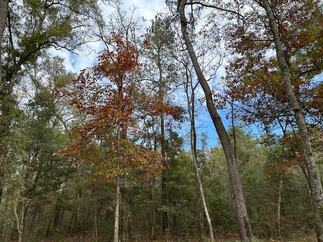 0 Parkers Ferry Rd Road