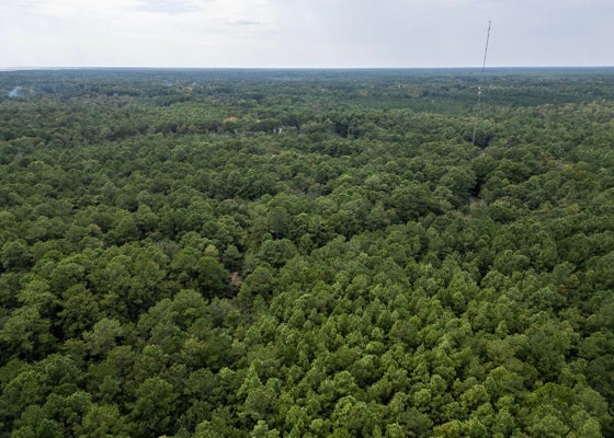00 SOCIETY ROAD, MCCLELLANVILLE, SC 29458 - Image da1358ddc8e5769fa80c9376dca52f3f/4041002804