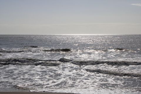 A home in Edisto Beach