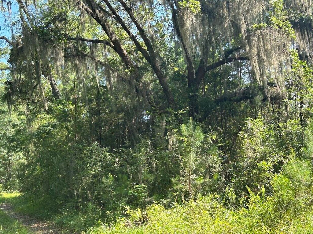 Photo of 5856 Martin Street Street #Lot 3, Ravenel, SC 29470 (MLS # 25018771)