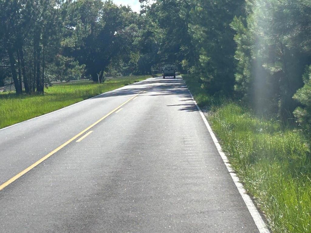 Photo of 5856 Martin Street Street #Lot 3, Ravenel, SC 29470 (MLS # 25018771)