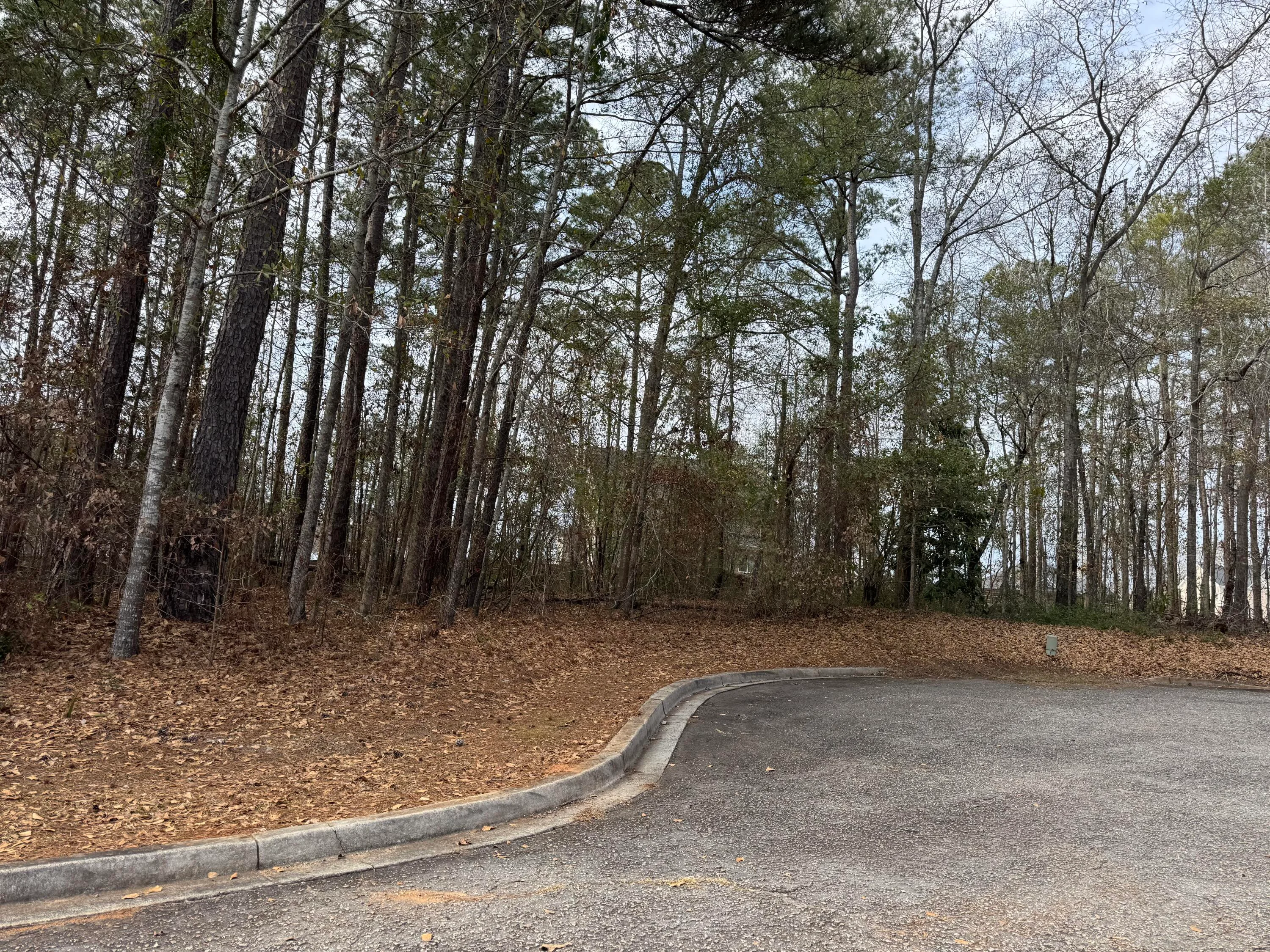 011 Aster Court