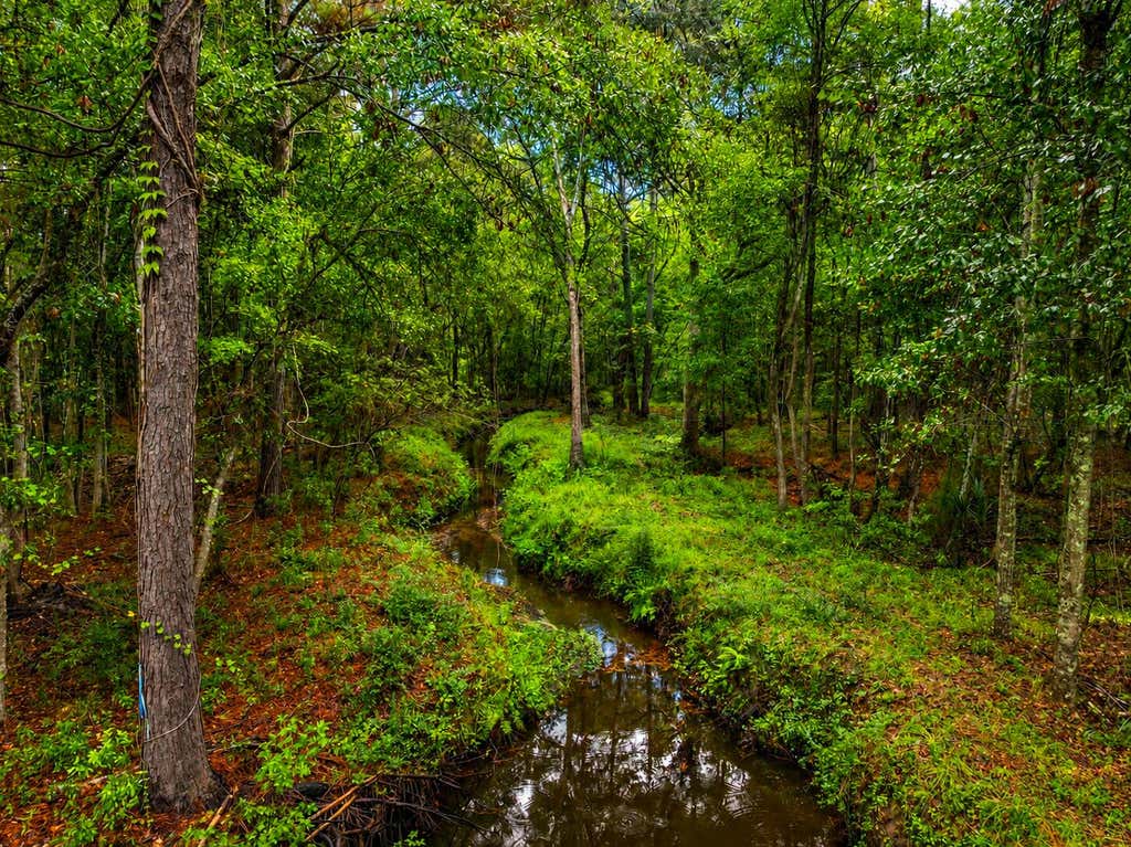 Photo of 746 Wilson Cemetery Road, Awendaw, SC 29429 (MLS # 26017185)
