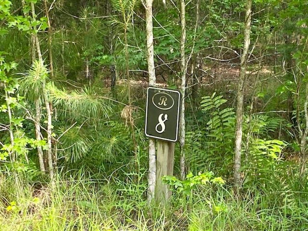 Photo of 6301 Buttonbush Drive #Lot 8, Ravenel, SC 29470 (MLS # 26008164)