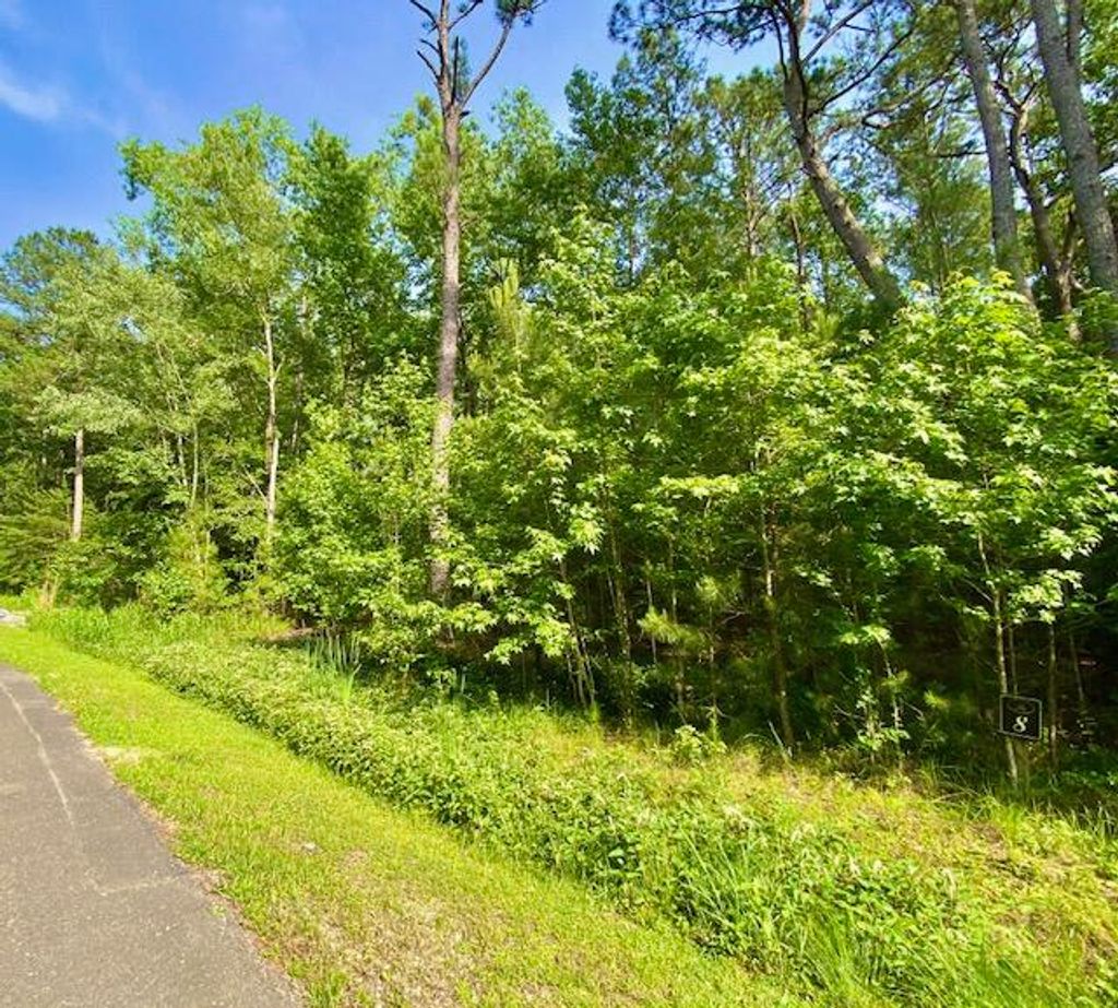 Photo of 6301 Buttonbush Drive #Lot 8, Ravenel, SC 29470 (MLS # 26008164)