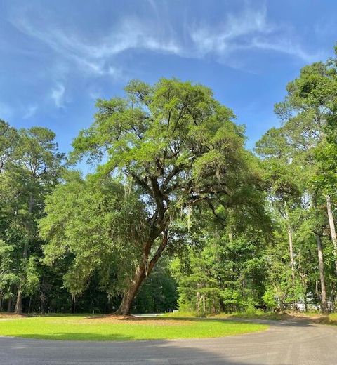 6301 Buttonbush Drive Lot 8 Ravenel SC 29470