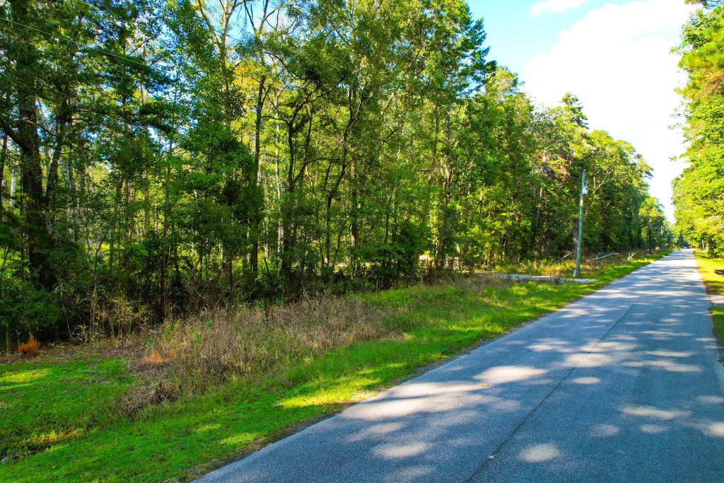 Photo of 4759 Summit Plantation Rd Road, Hollywood, SC 29449 (MLS # 25028482)
