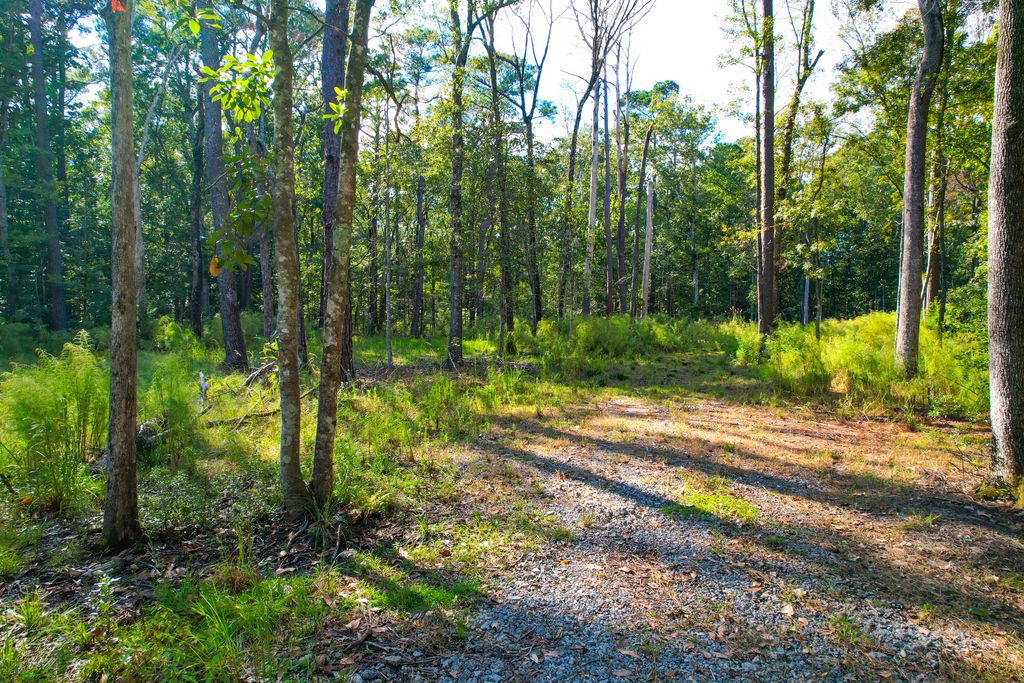 Photo of 4759 Summit Plantation Rd Road, Hollywood, SC 29449 (MLS # 25028482)