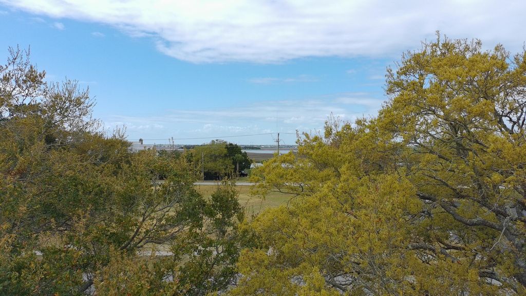 Photo of 3121 Middle Street, Sullivans Island, SC 29482 (MLS # 26009157)