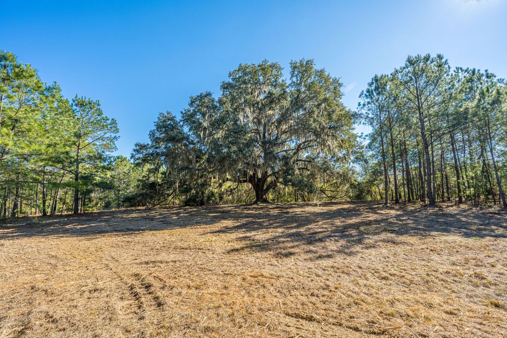 Photo of 4129 Gnarled Oaks Lane, Johns Island, SC 29455 (MLS # 26006821)