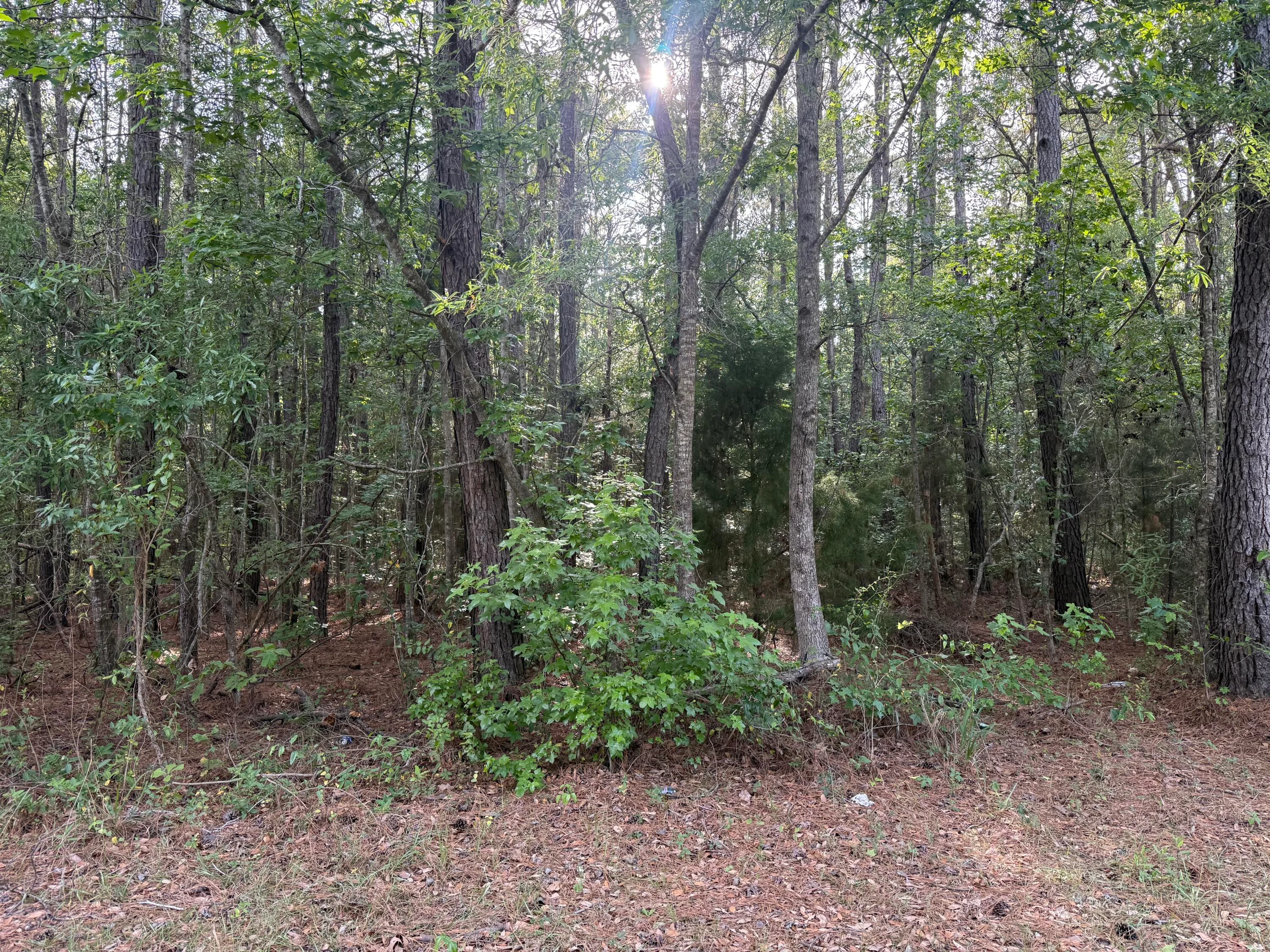 00 Sable Lane, Huger, SC, 29450
