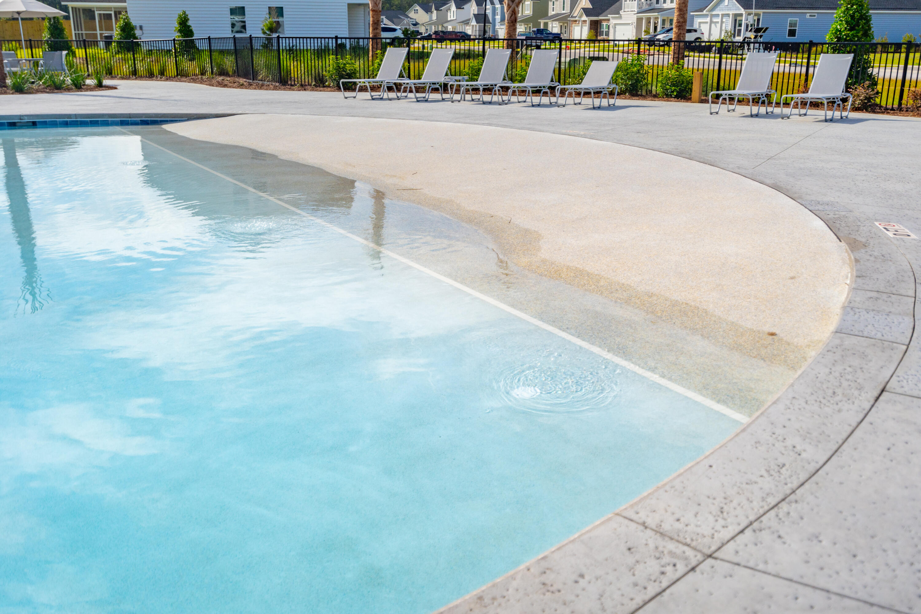 715 Blue Mistflower Drive