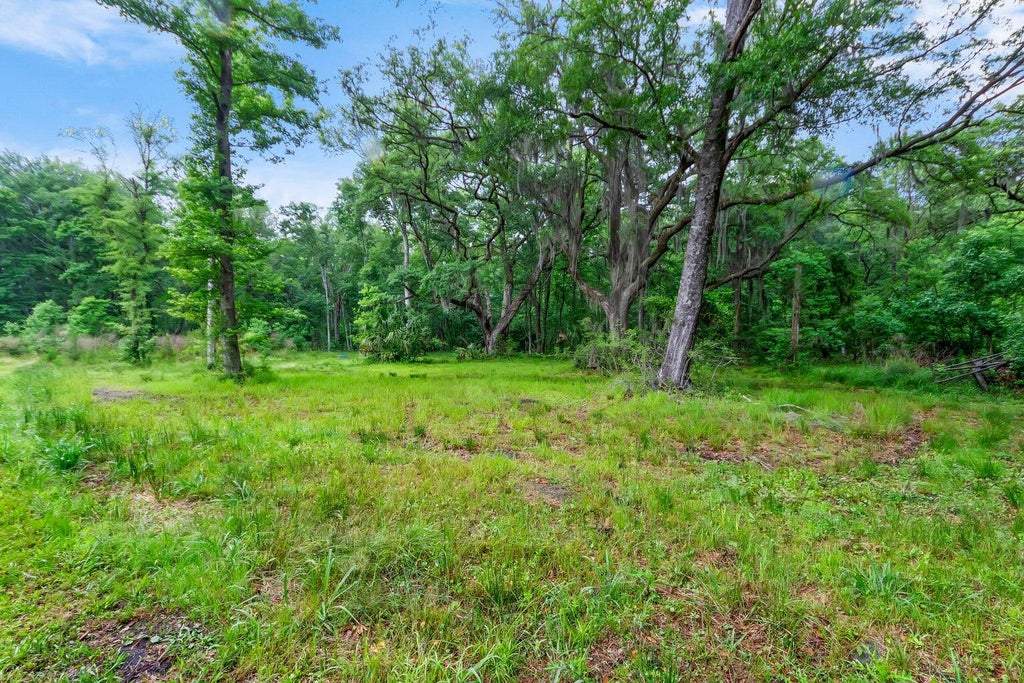 Photo of 7855 Mary Seabrook Road, Edisto Island, SC 29438 (MLS # 26023487)