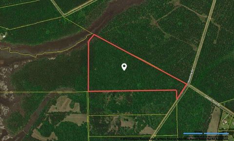 Photo of 4938 Woodville Road, Awendaw, SC 29429 (MLS # 22004980)