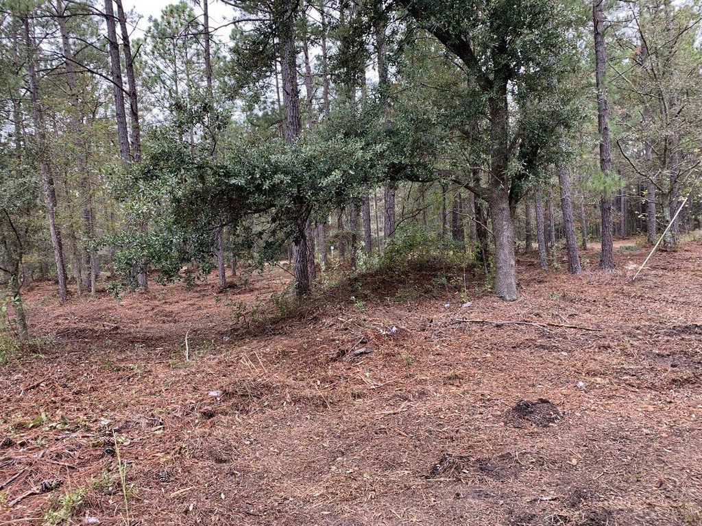 Photo of 4938 Woodville Road, Awendaw, SC 29429 (MLS # 22004980)