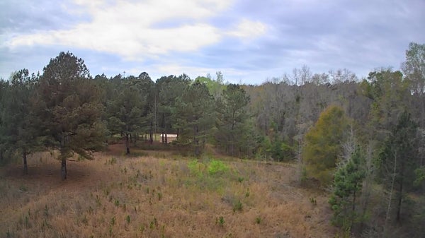 ADDRESS PRIVATE, SMOAKS, SC 29481 - Image ddcf204c5249f9a85a2bc04cd129f3f4/1324971826