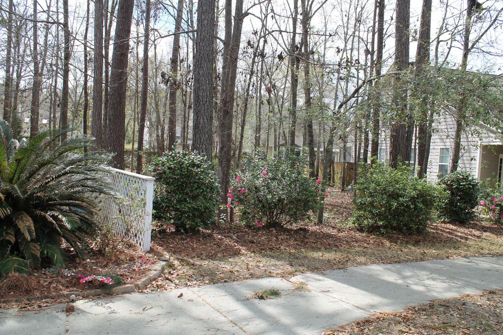 Photo of 228 Comiskey Park Circle, Summerville, SC 29485 (MLS # 26007349)