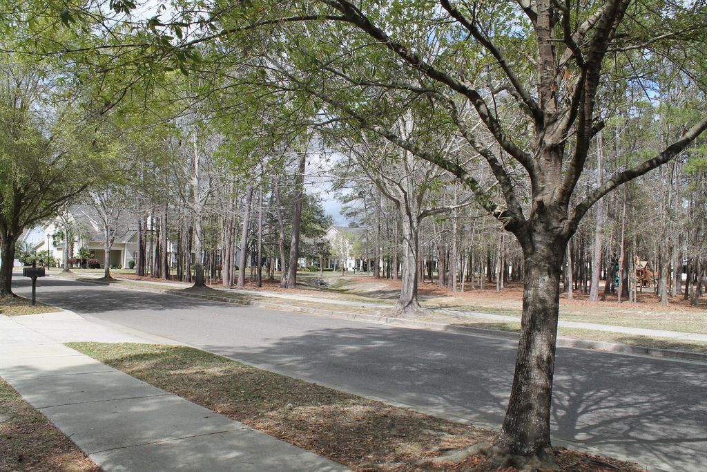 Photo of 228 Comiskey Park Circle, Summerville, SC 29485 (MLS # 26007349)