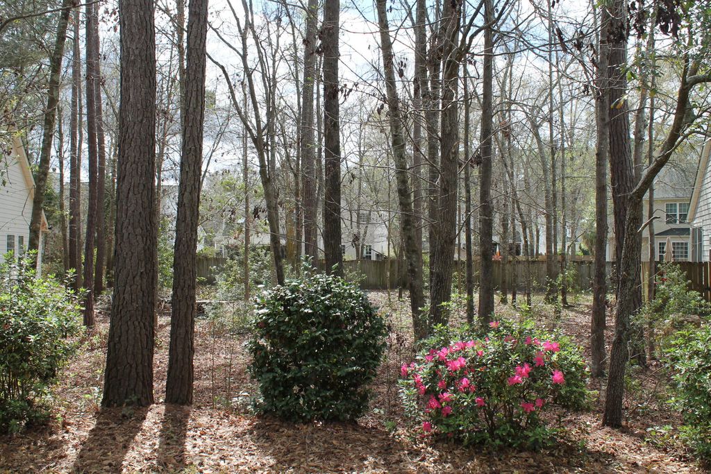 Photo of 228 Comiskey Park Circle, Summerville, SC 29485 (MLS # 26007349)