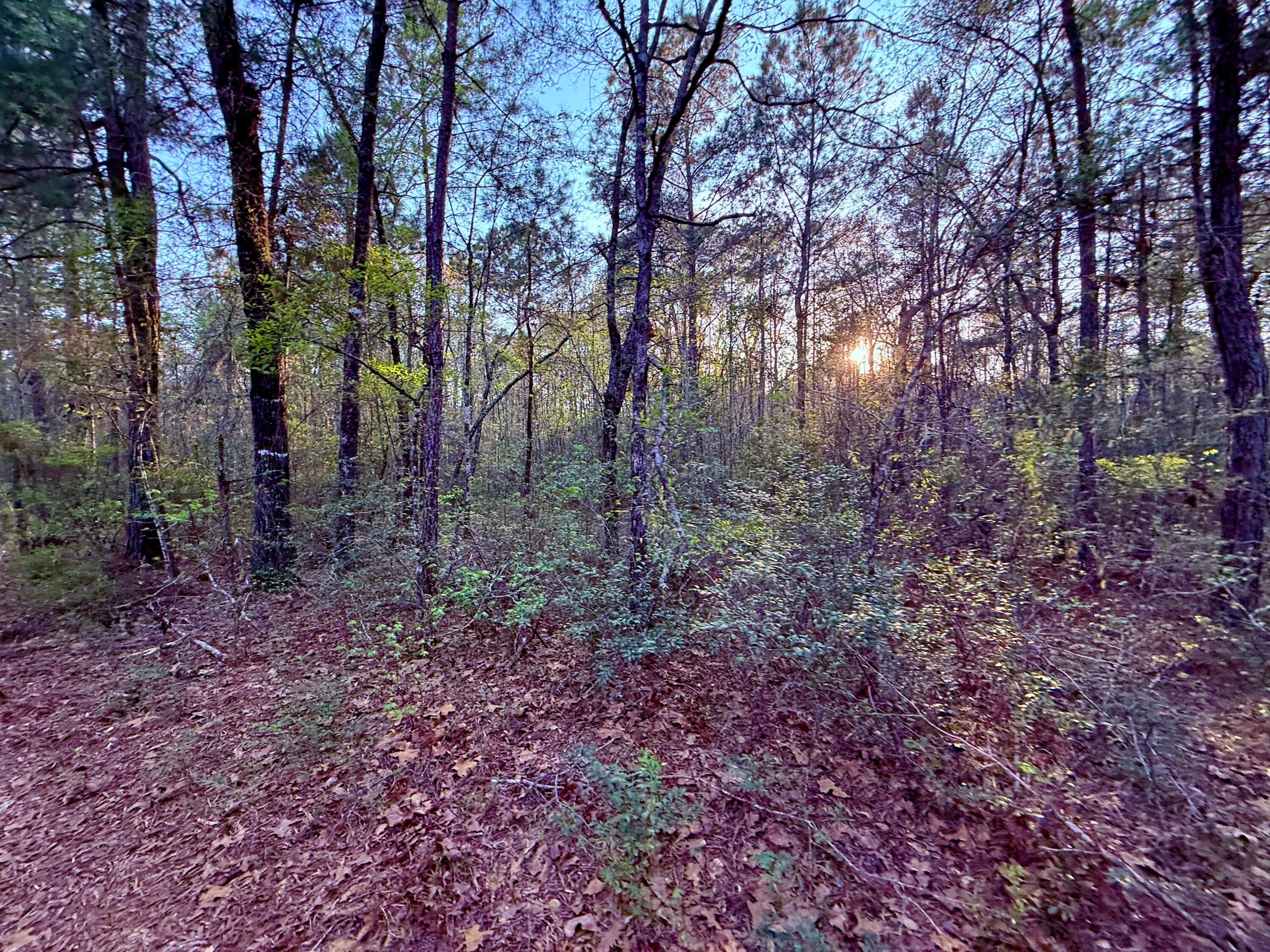 430 Weenee Road