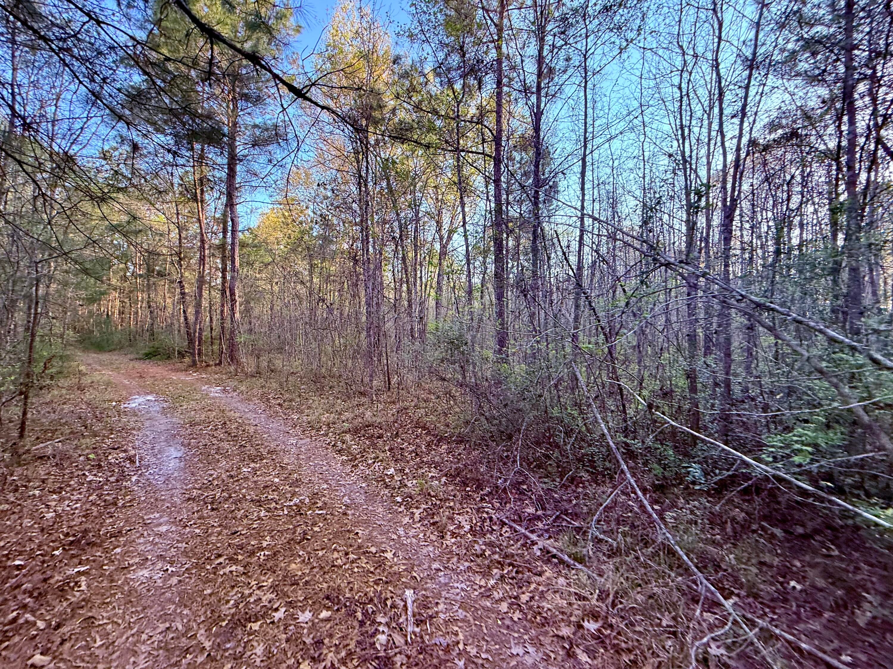 430 Weenee Road
