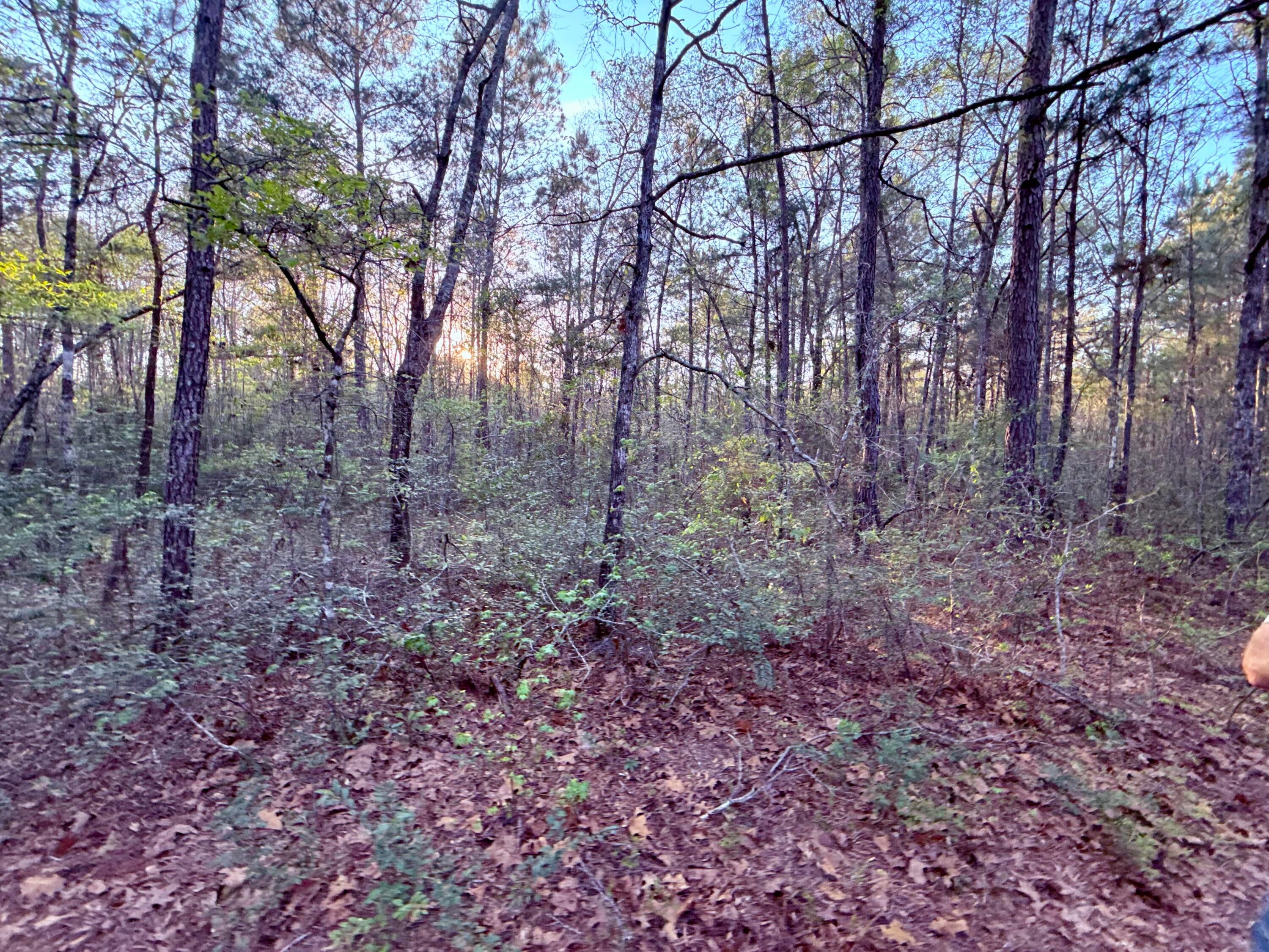 430 Weenee Road