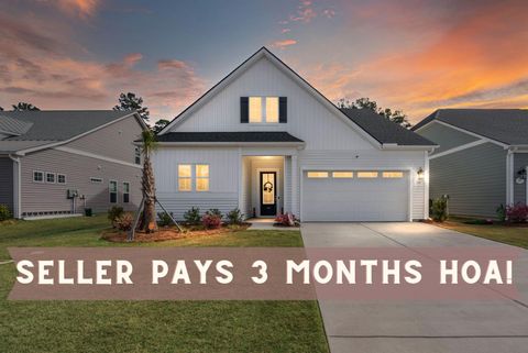 Photo of 134 Summerwind Drive, Summerville, SC 29486 (MLS # 26007578)