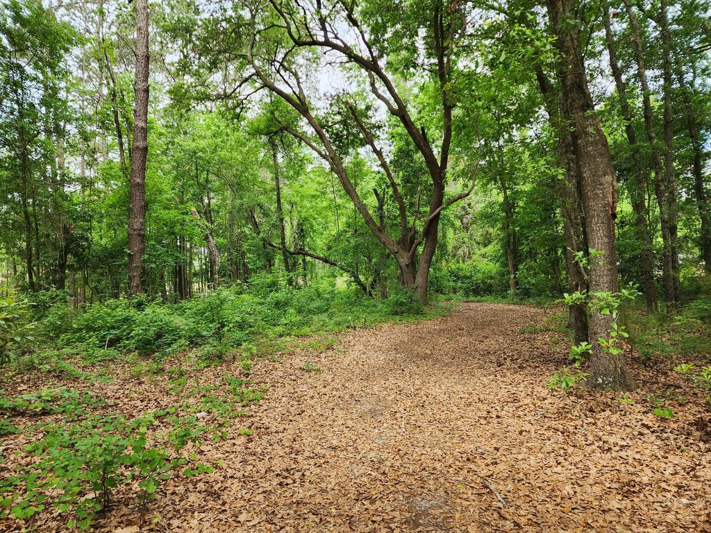 Photo of 343 W End Drive, Moncks Corner, SC 29461 (MLS # 25012763)