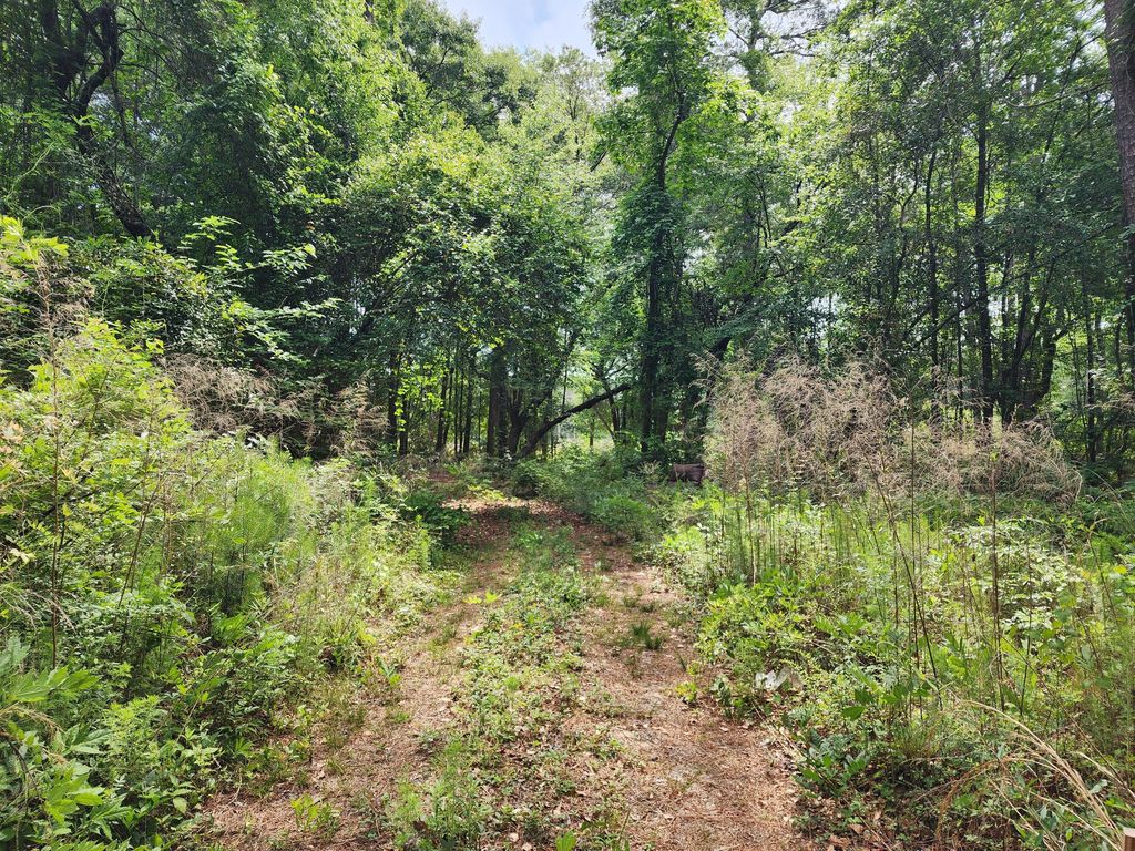 Photo of 343 W End Drive, Moncks Corner, SC 29461 (MLS # 25012763)