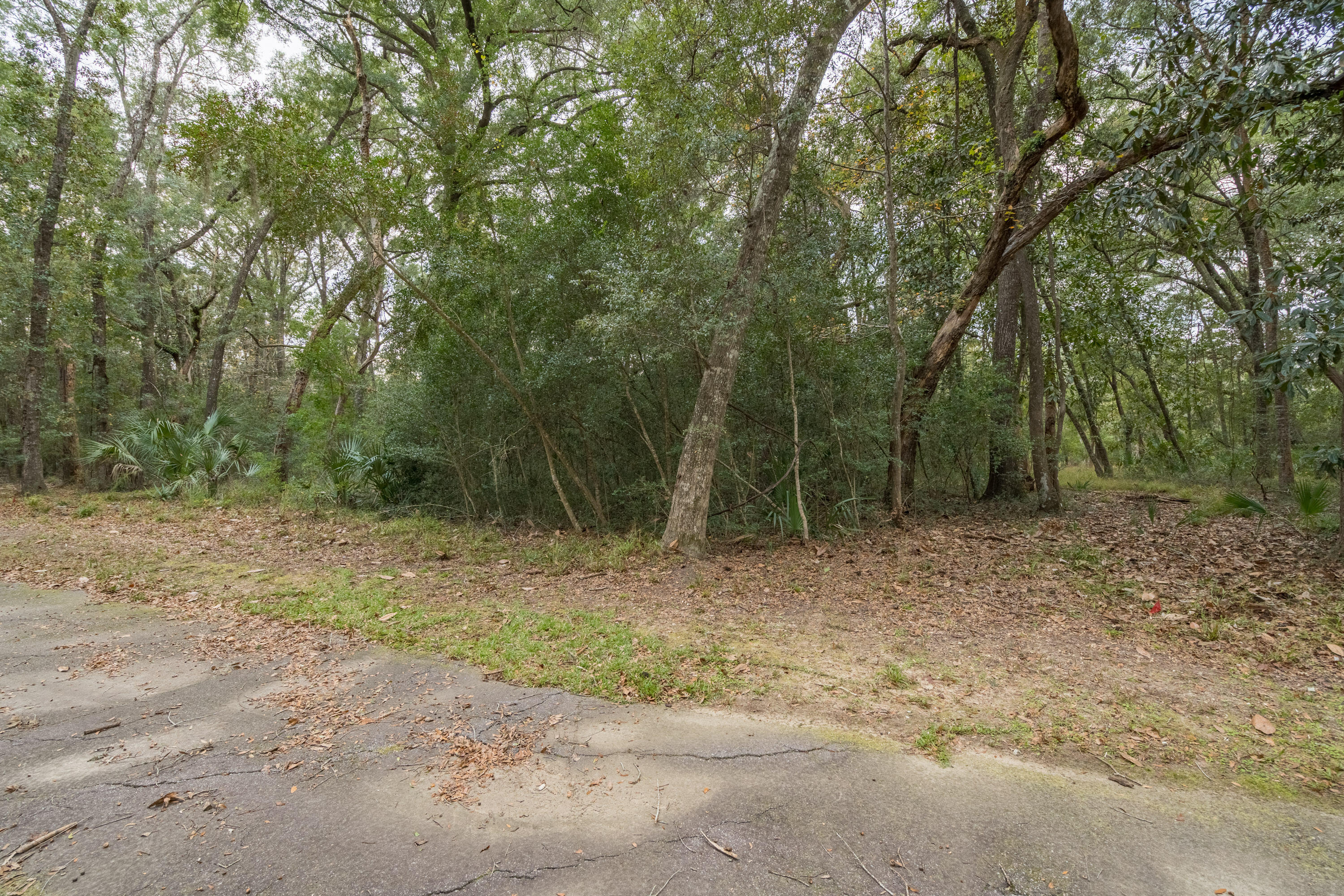 207 Bull Point Drive