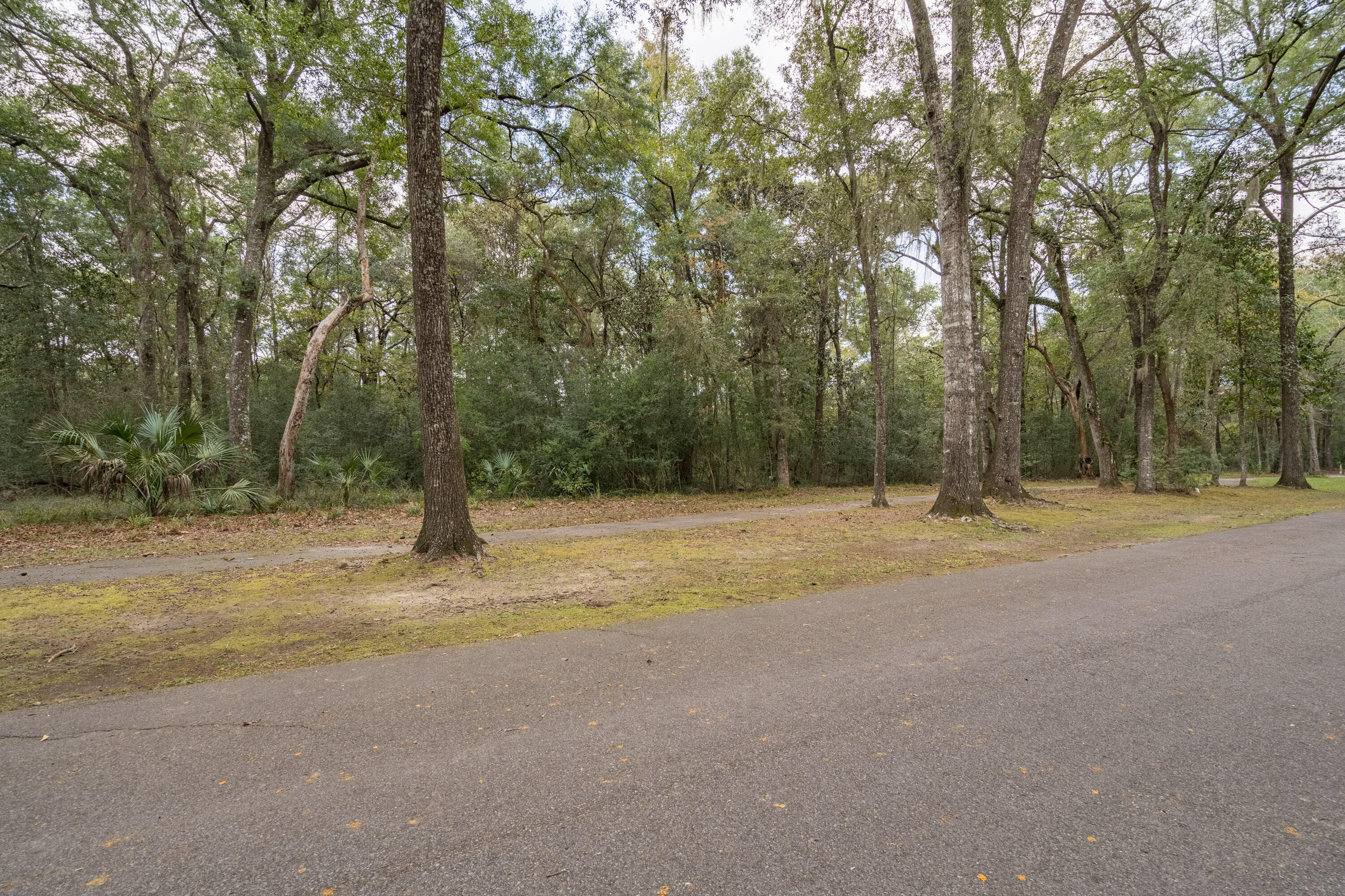 207 Bull Point Drive
