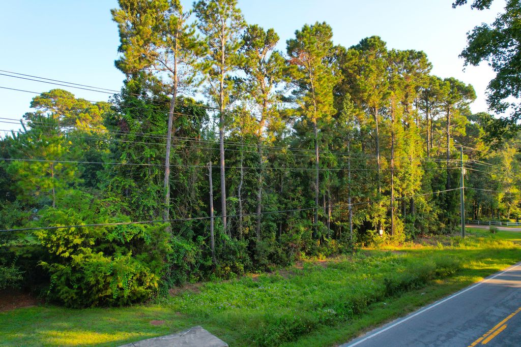 Photo of 0 Rifle Range Road #(Lot 1), Mount Pleasant, SC 29466 (MLS # 25027580)