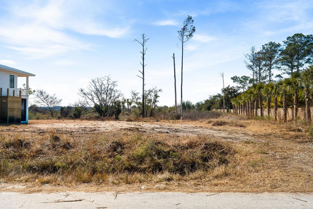 Photo of 1637 Boston Grill Road, Mount Pleasant, SC 29466 (MLS # 26003755)