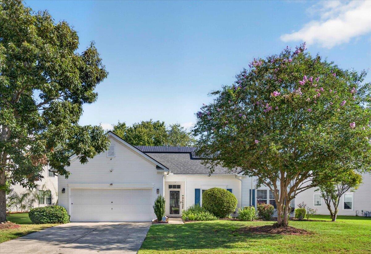 302 Sparkleberry Lane