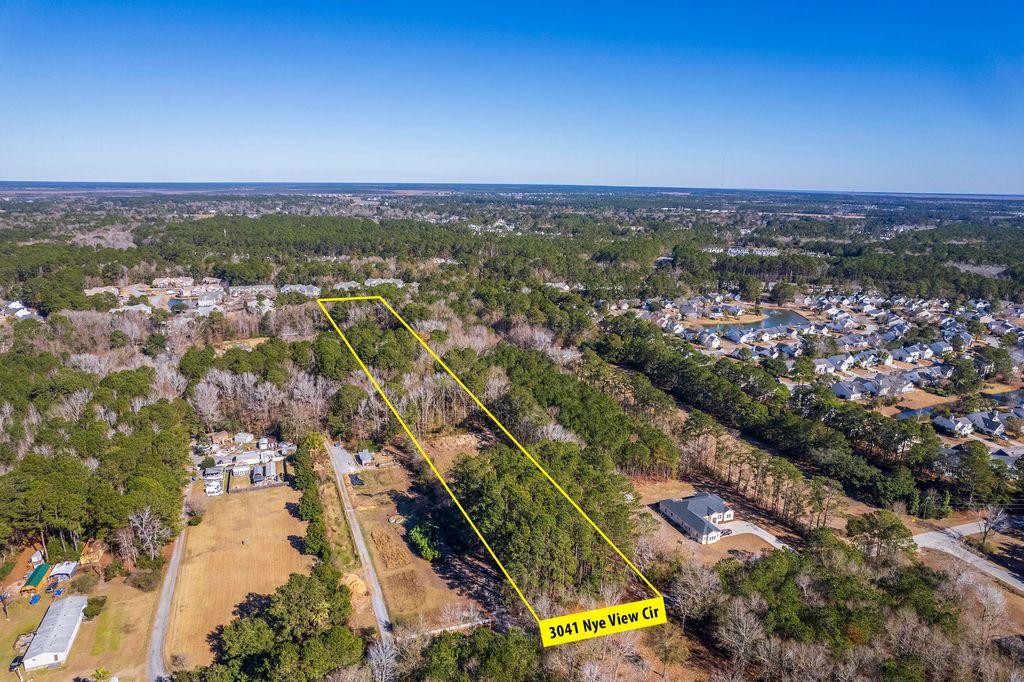 Photo of 3041 Nye View Circle, Mount Pleasant, SC 29466 (MLS # 25002297)