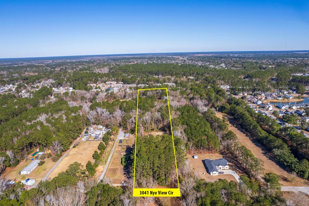 Photo of 3041 Nye View Circle, Mount Pleasant, SC 29466 (MLS # 25002297)