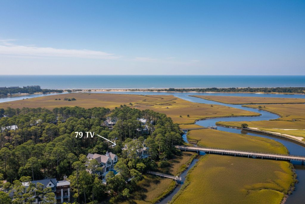 Photo of 79 Trailing Vine Way, Kiawah Island, SC 29455 (MLS # 25016719)