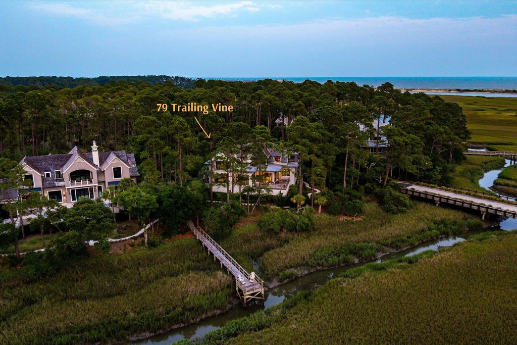 Photo of 79 Trailing Vine Way, Kiawah Island, SC 29455 (MLS # 25016719)