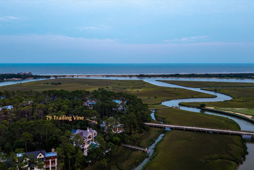 Photo of 79 Trailing Vine Way, Kiawah Island, SC 29455 (MLS # 25016719)