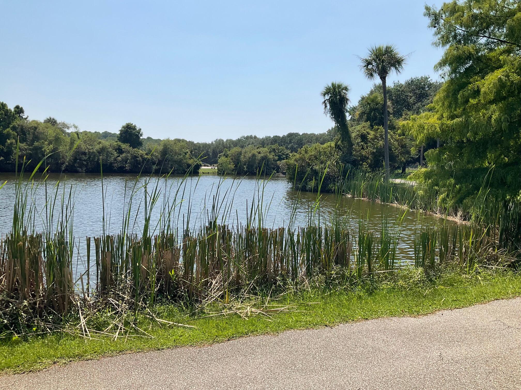 2195 Seabrook Island Road